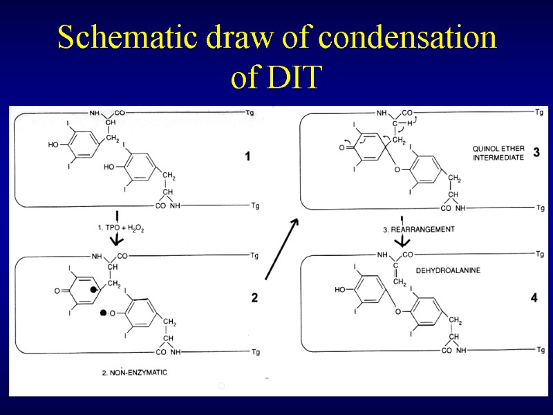 Schematic draw of condensation of DIT